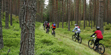 Mountainbiken in Sauerland